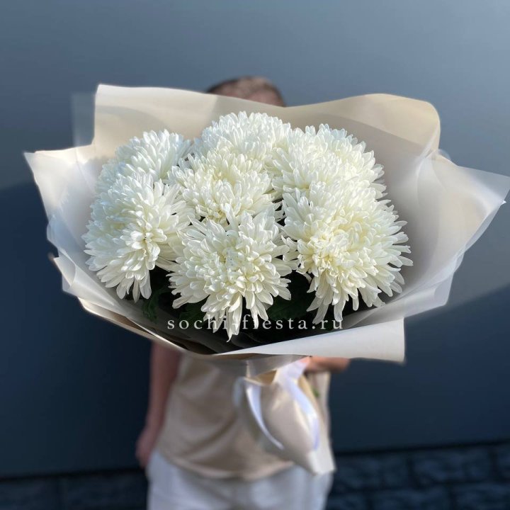 Профитроли в Шахтах