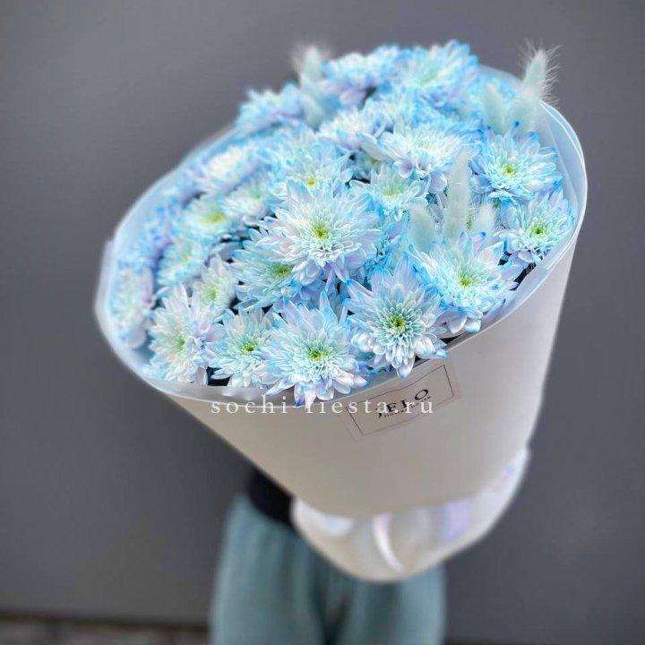  Букет нежно-голубых хризантем  в Шахтах