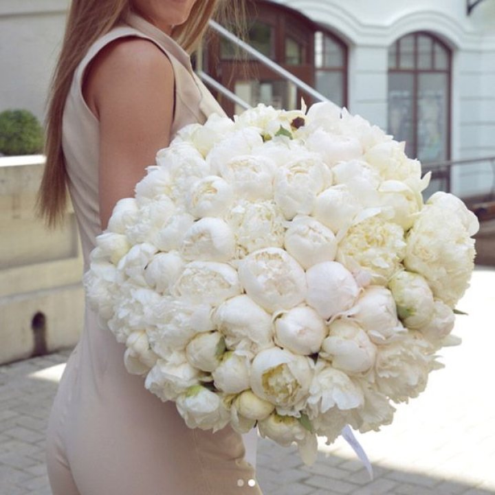 51 белый пион в Шахтах