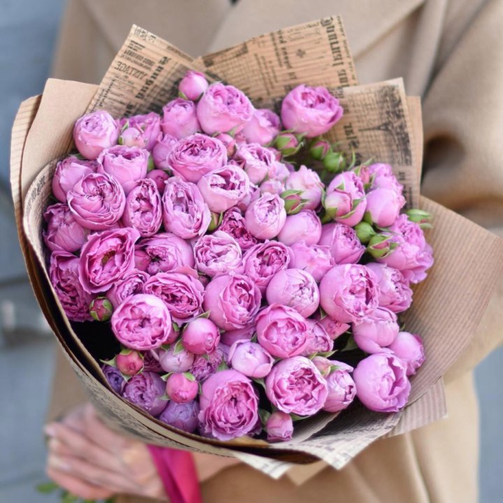 Роза Мисти Баблс в Шахтах