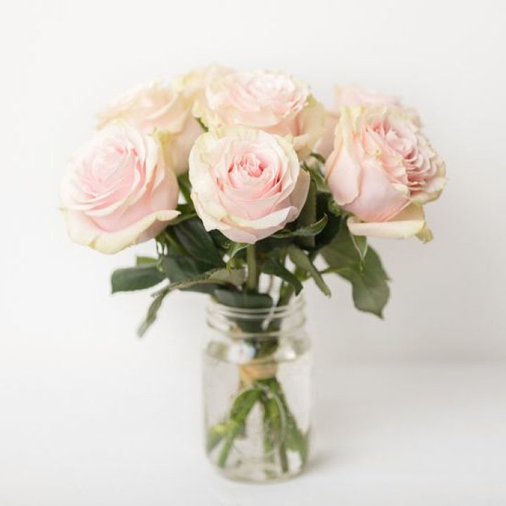 7 кремовых роз в Шахтах