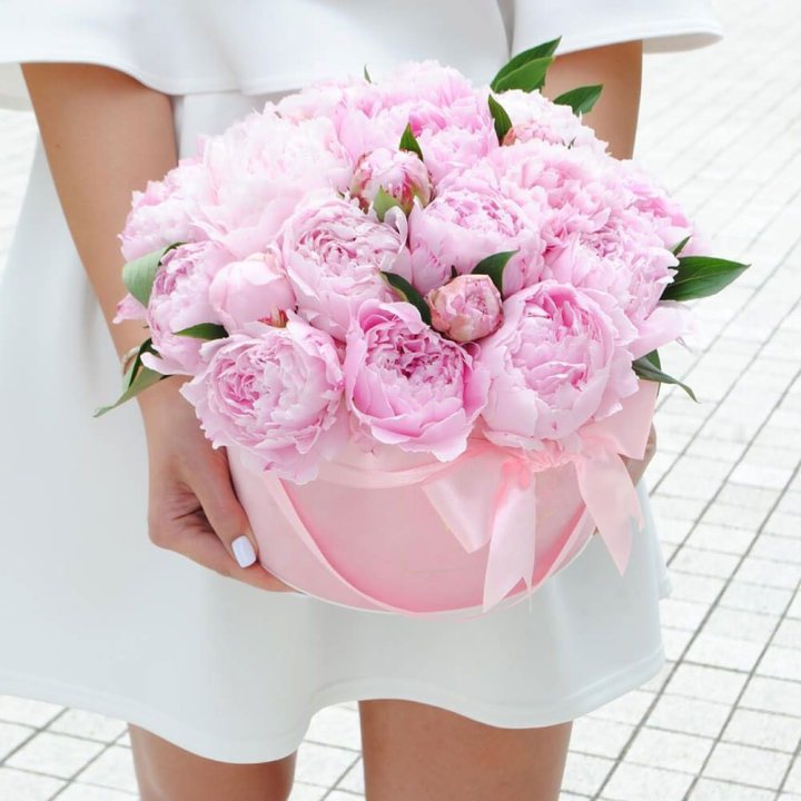 Пионы в шляпной коробке в Шахтах