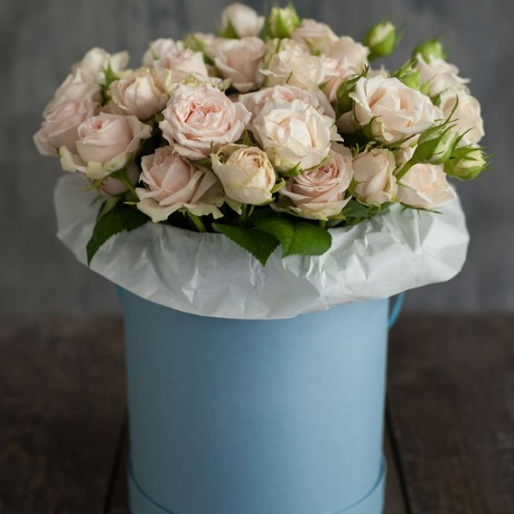 Бокс с бомбастиком в Шахтах