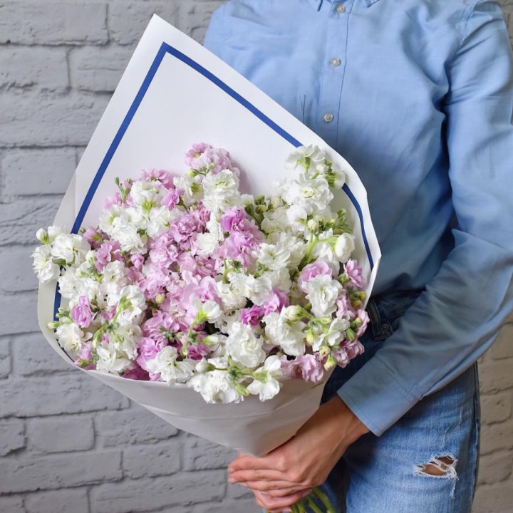 Маттиола в Шахтах