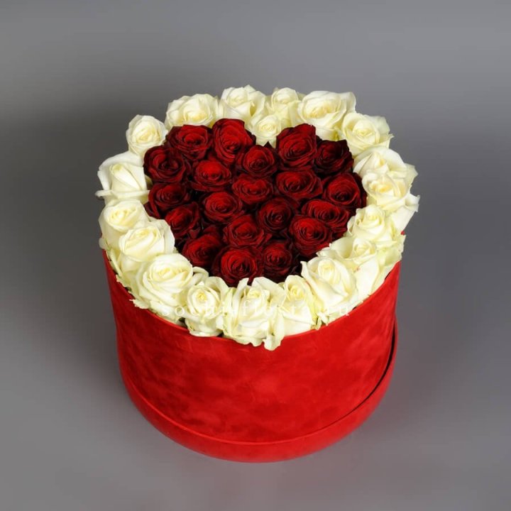 39 красных и белых роз в цилиндре в Шахтах