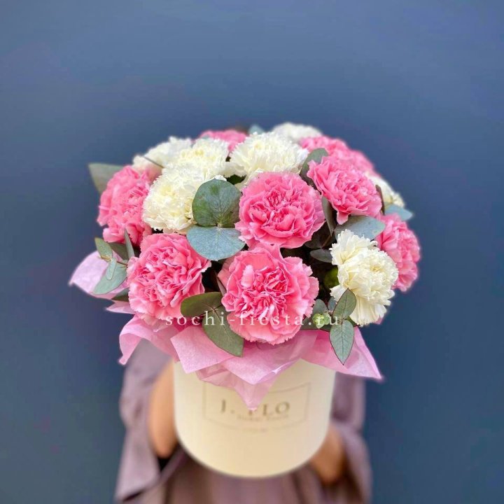 Диантусы в цилиндре в Шахтах