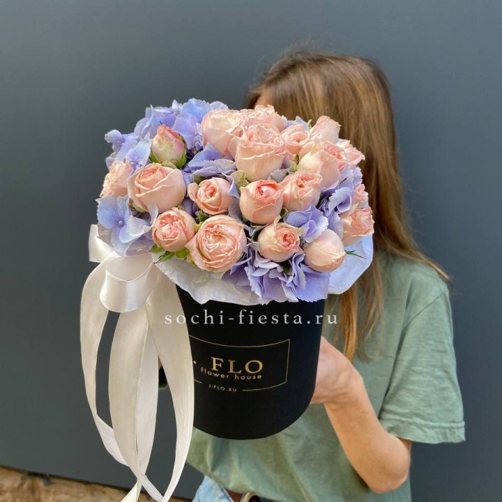 Бокс бомбастик и гортензия в Шахтах