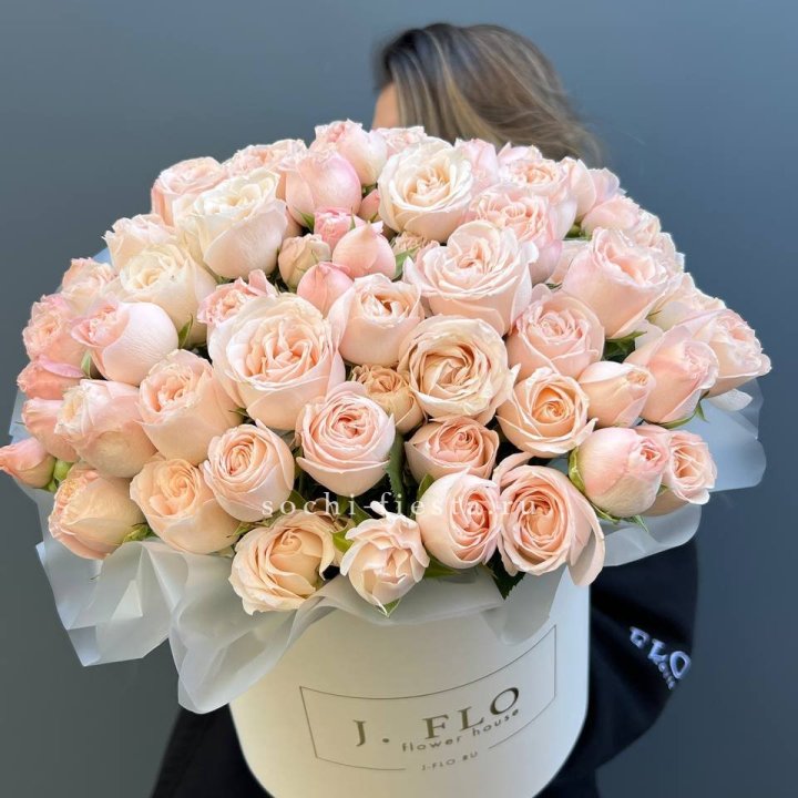 Бомбастик бокс Премьер в Шахтах