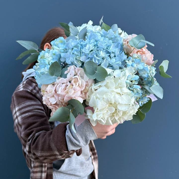 Гортензии в коробочке в Шахтах