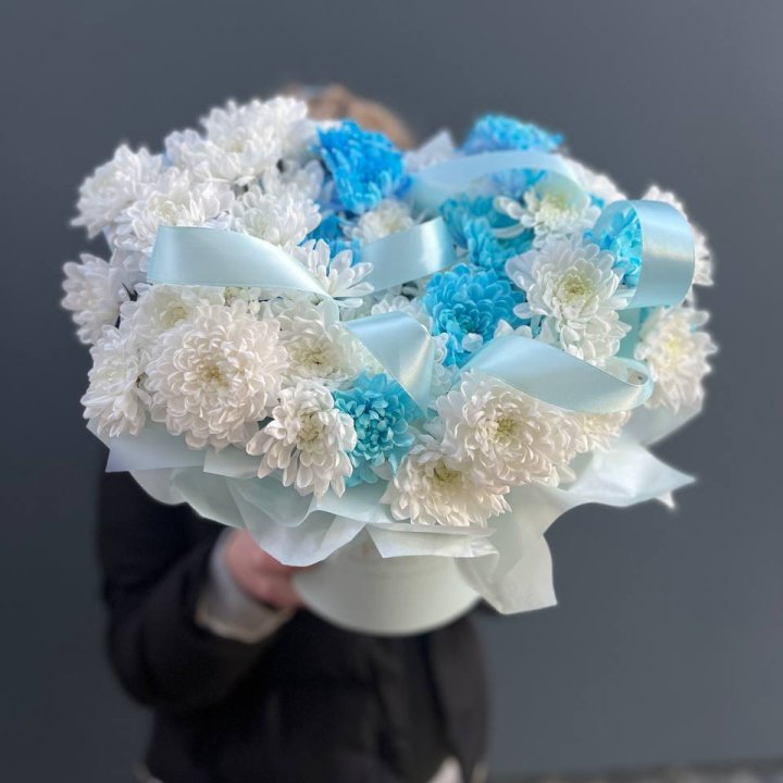 Хризнтемы в боксе в Шахтах