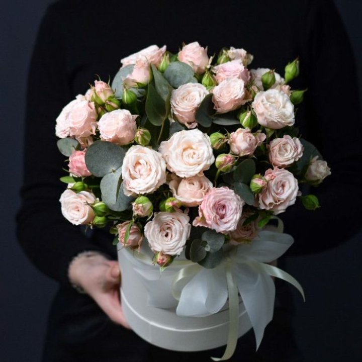 Бомбастик бокс №2 в Шахтах