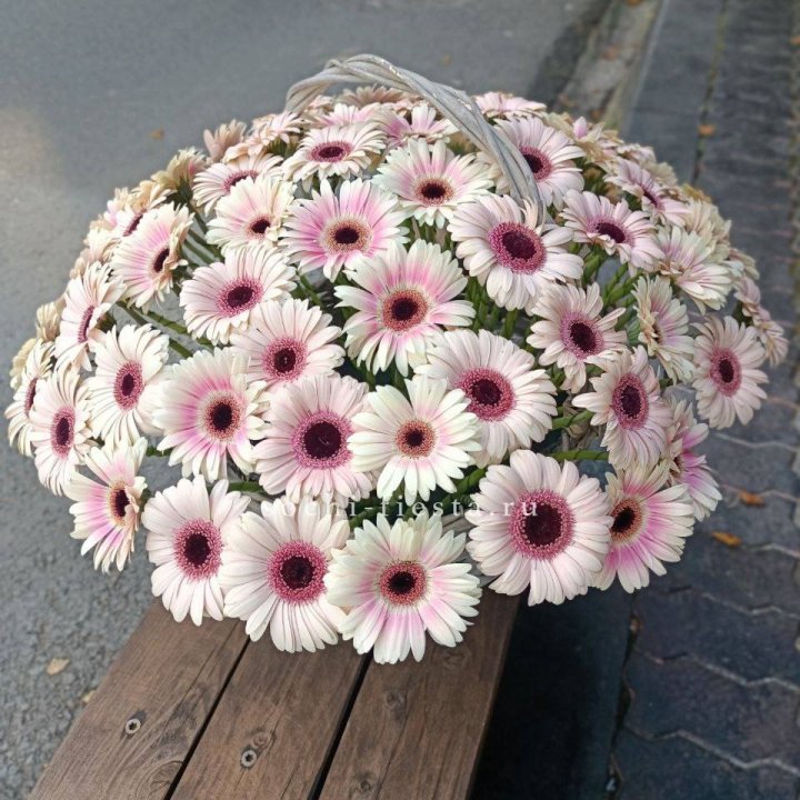 Корзина с герберами  в Шахтах