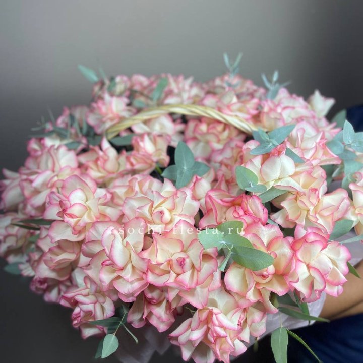 51 джумилия  в корзине   в Шахтах