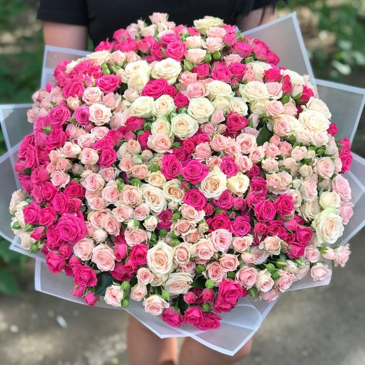 101 кустовая роза в Шахтах