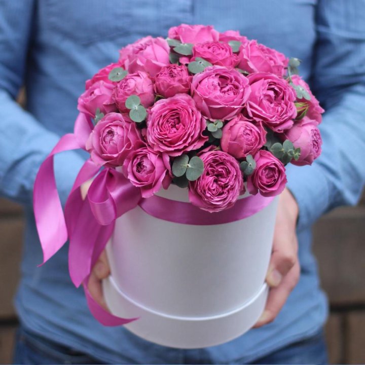 Бокс мисти баблс в Шахтах