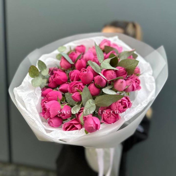 17 Мисти бабблс в Шахтах