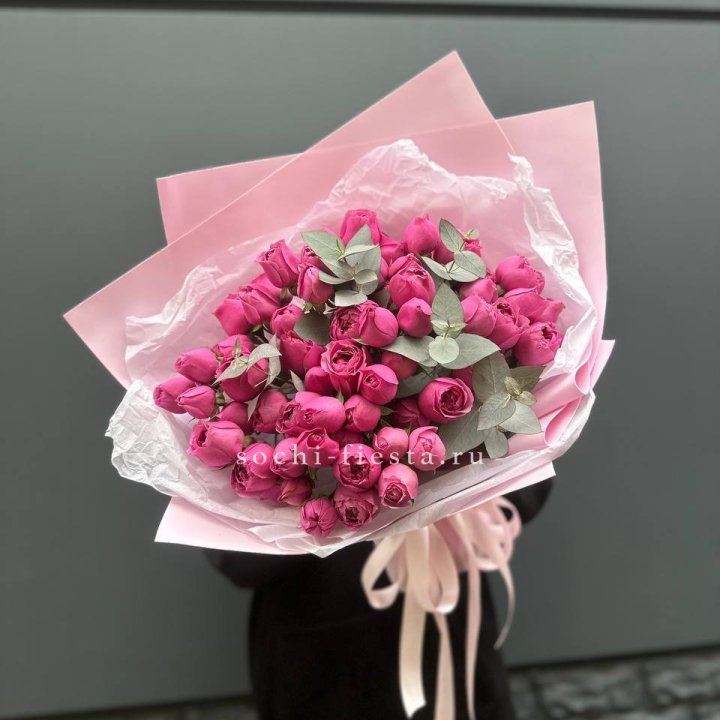 25 Мисти бабблс в Шахтах