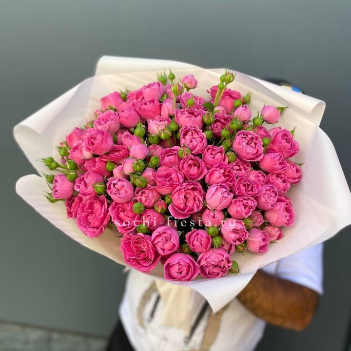 Мисти Баблс 35шт в Шахтах