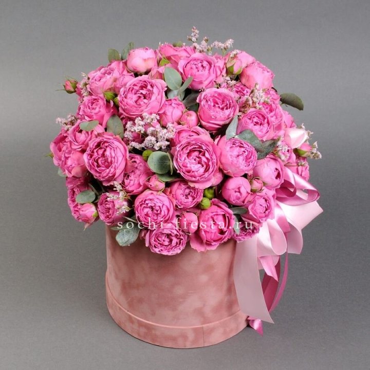 Мисти бокс №1 в Шахтах