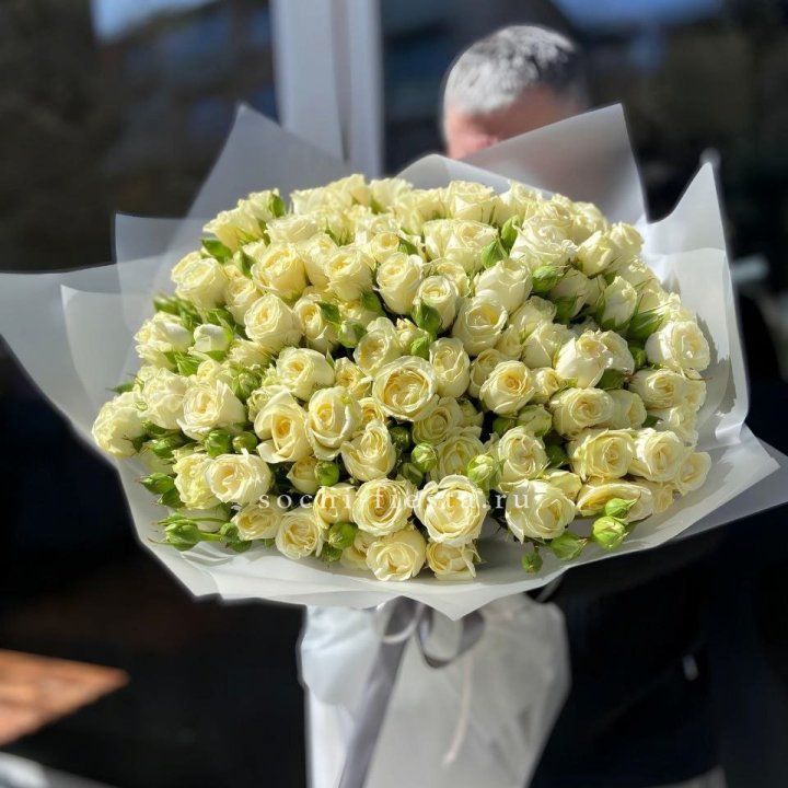 Белые кустовые розы 31 шт в Шахтах