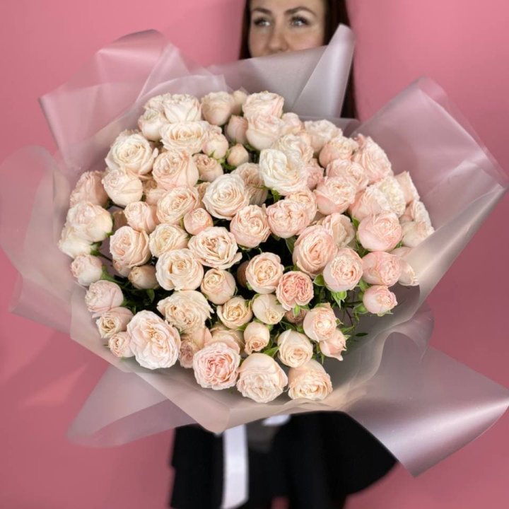 Carina в Шахтах