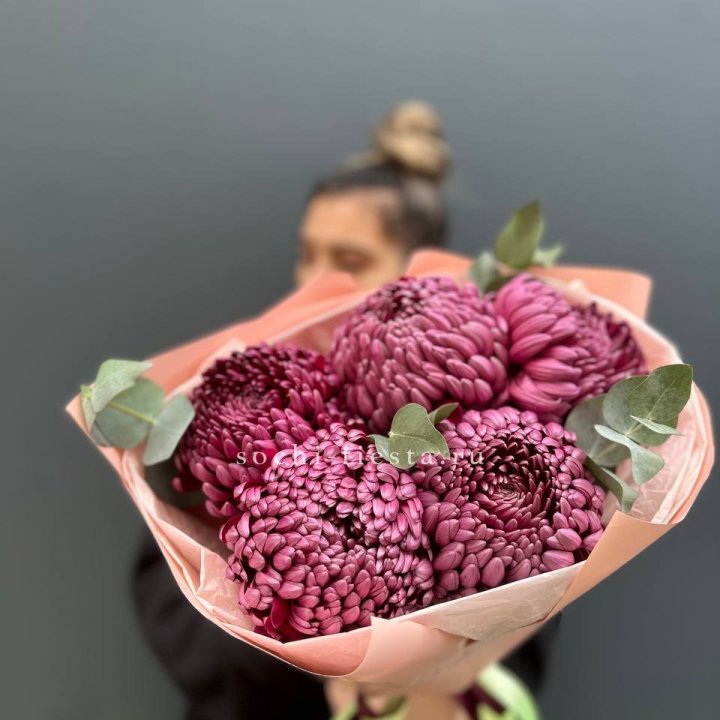 Хризантемы  Бигуди  в Шахтах