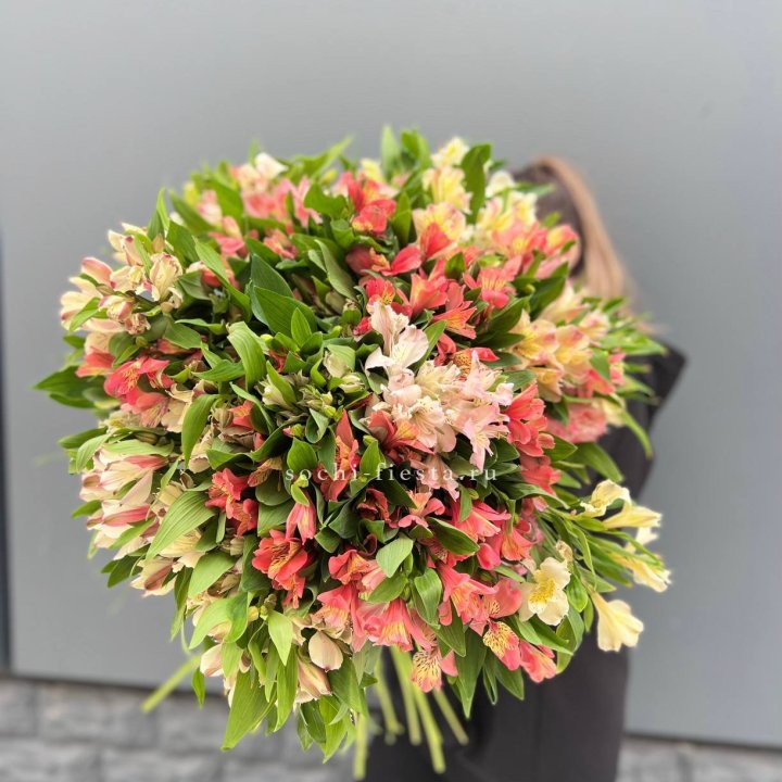 51 альстромерия в Шахтах