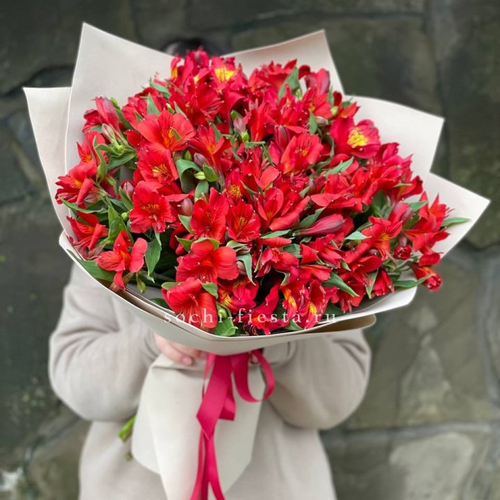 51 альстромерия в Шахтах