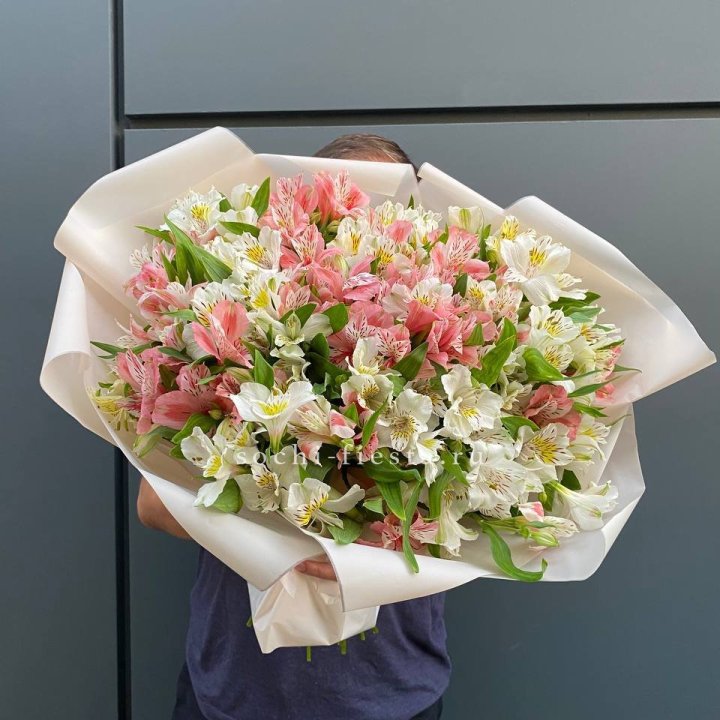 39 альстромерий в Шахтах