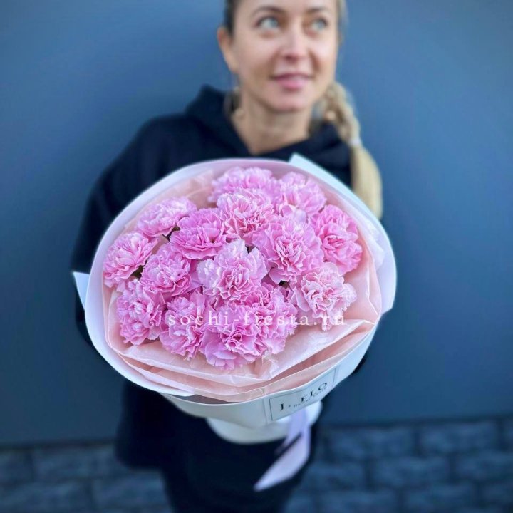 Диантусы в Шахтах