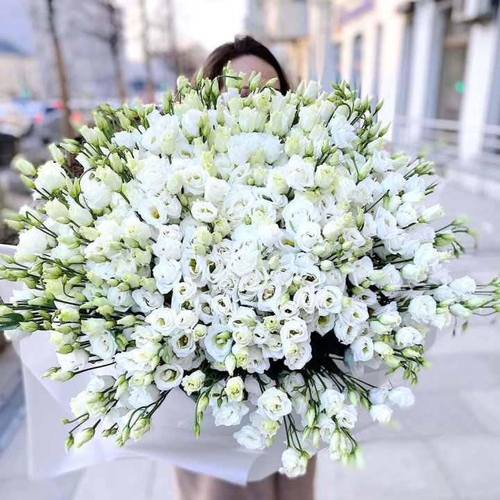 101 белая эустома в Шахтах