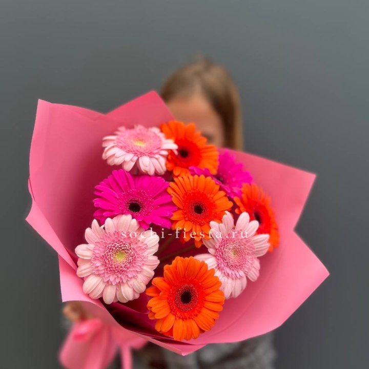 Краски в Шахтах