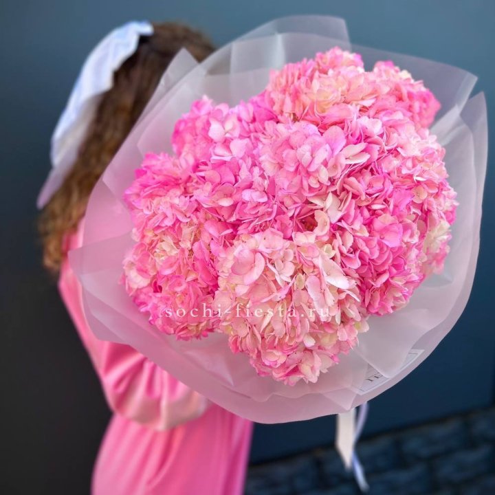 7 ярко розовых гортензий в Шахтах