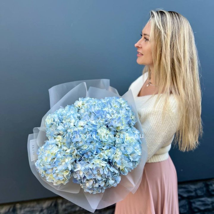 7 голубых гортензий в Шахтах