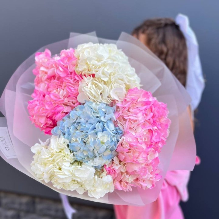 7 гортензий микс в Шахтах