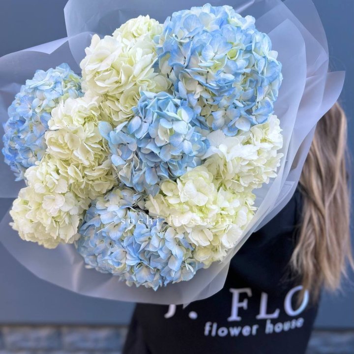 9 бело-голубых гортензий в Шахтах