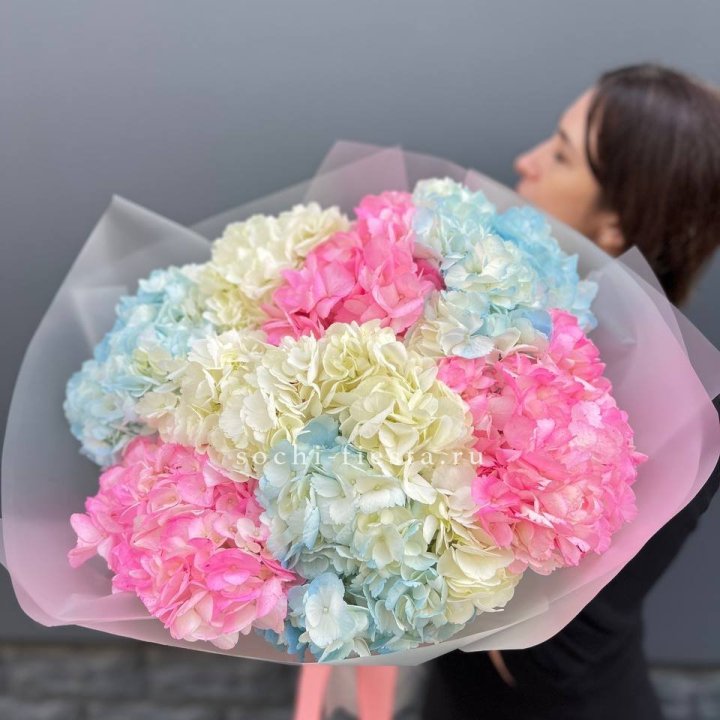 9 гортензий микс в Шахтах