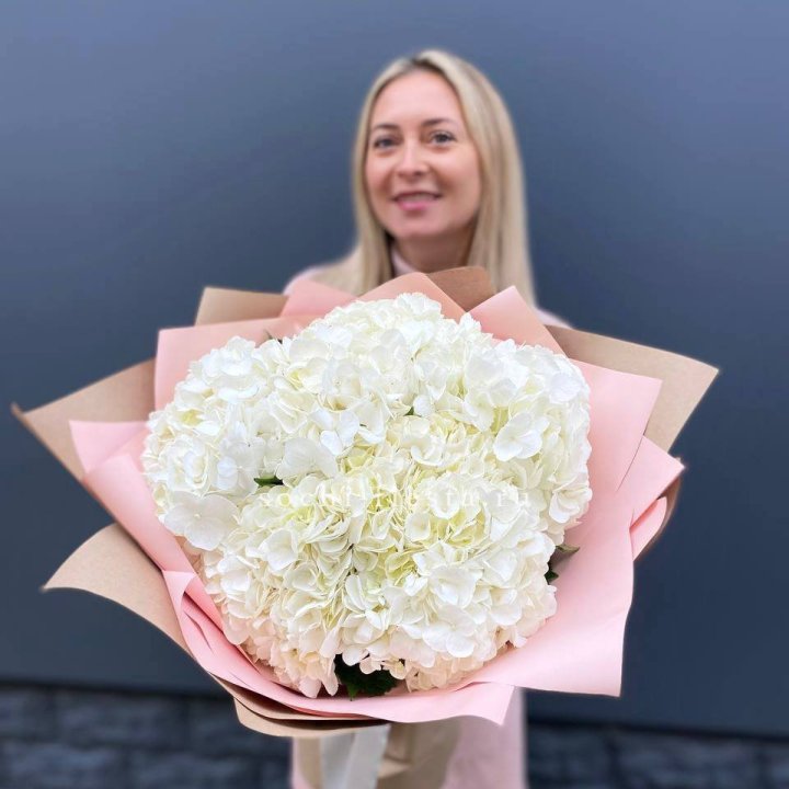 Гортензия белая в Шахтах