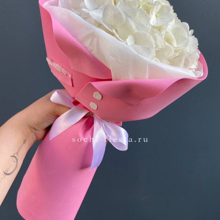 Гортензия в розовом пиджаке в Шахтах