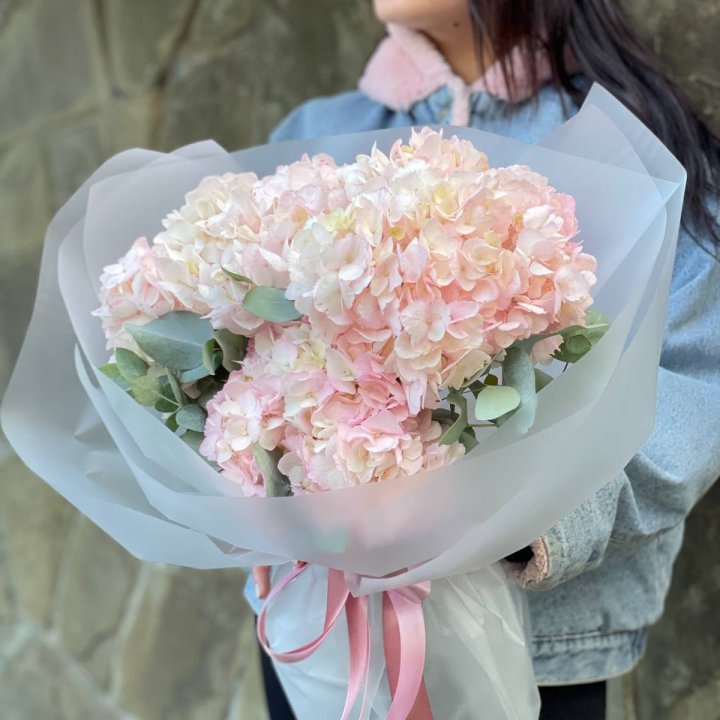 5 розовых гортензий в Шахтах