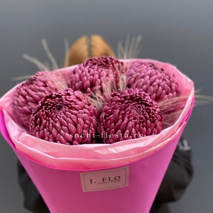 Хризантемы  Бигуди с стифой в Шахтах