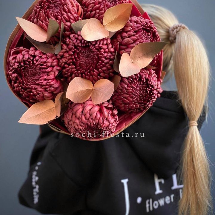 Хризантемы "Голд шоколад" в Шахтах