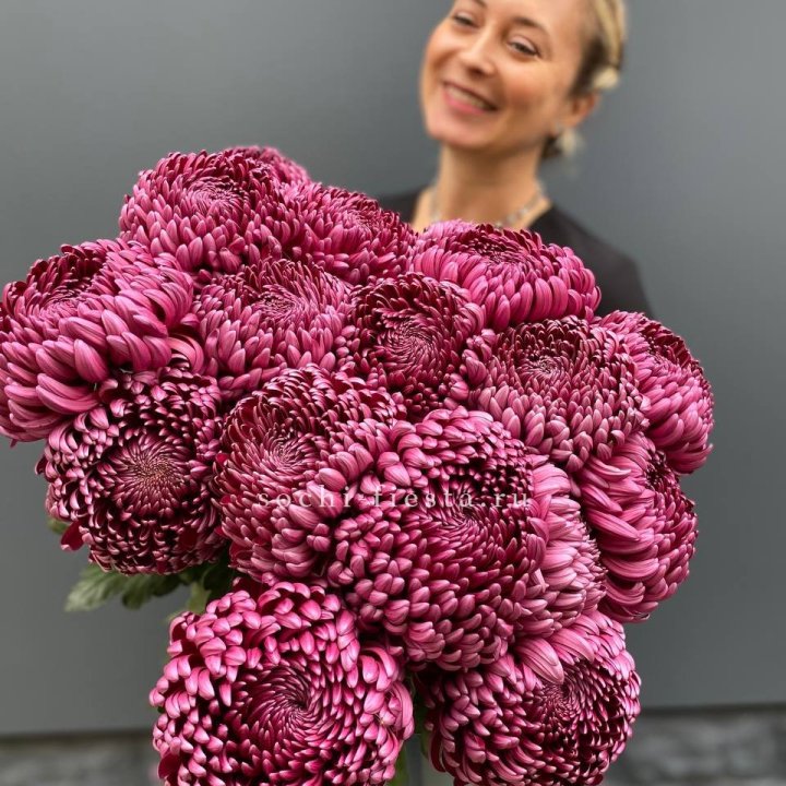 Охапка хризантем Бигуди в Шахтах