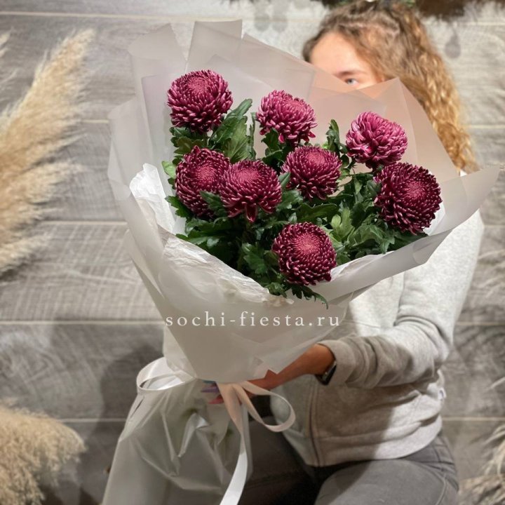 Хризантемы Бигуди в Шахтах