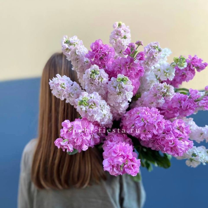 Охапка маттиолы в Шахтах