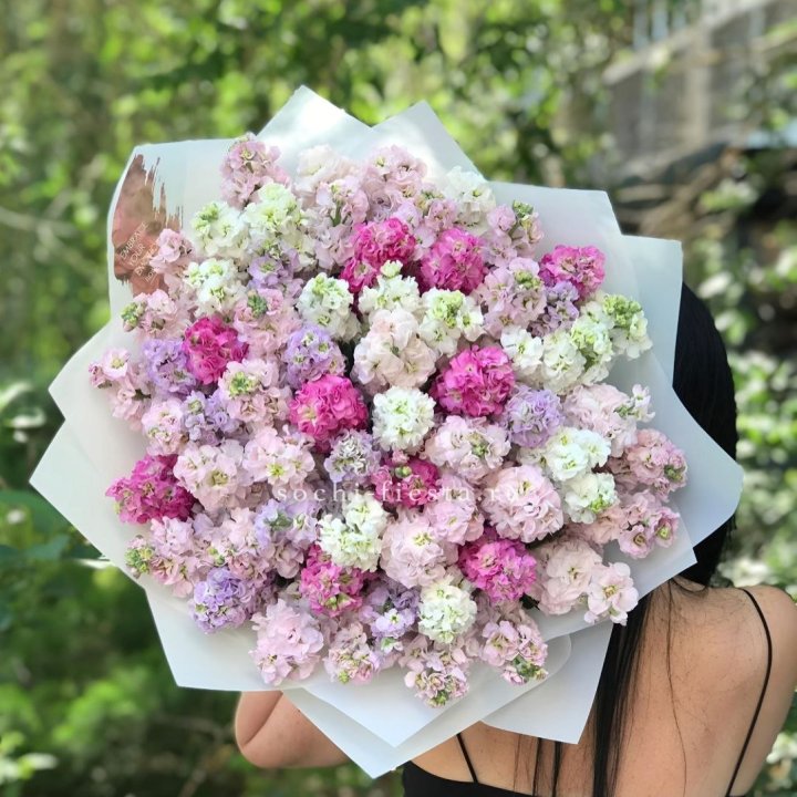 Букет ароматной маттиоллы №3 в Шахтах