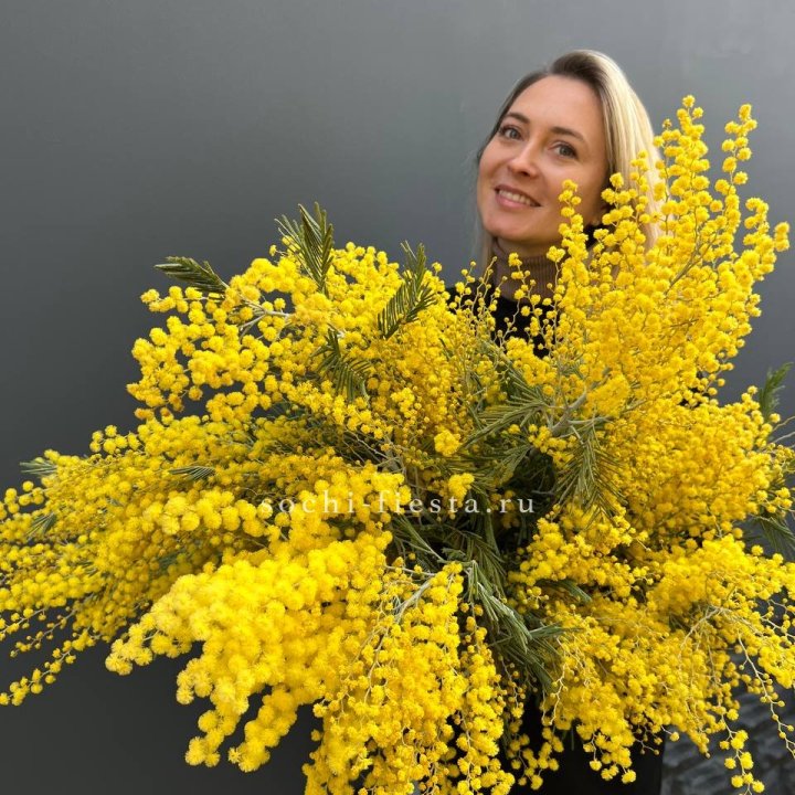 Охапка мимозы №2 в Шахтах