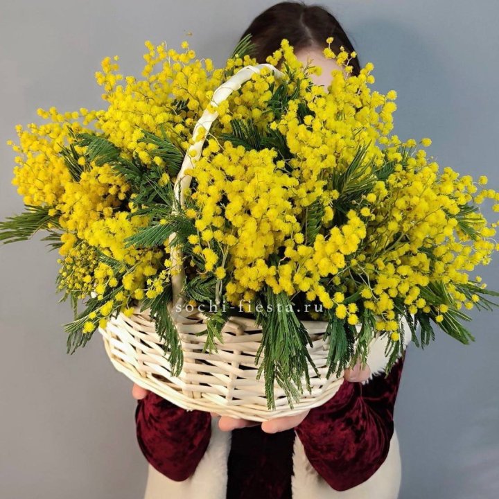 Корзина ароматной мимозы в Шахтах