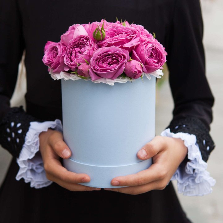 Бокс мини мисти в Шахтах