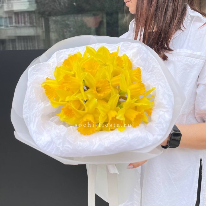 Нарциссы 25 шт в Шахтах